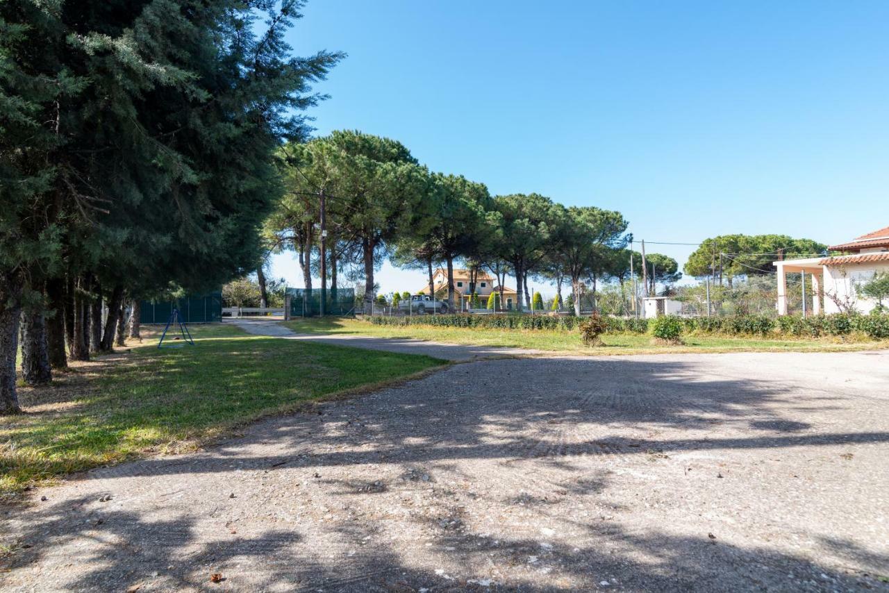 Villa Eleni Ζαχάρω Εξωτερικό φωτογραφία
